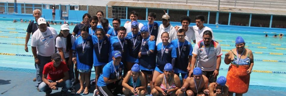 Festival de Natación